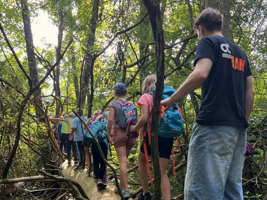 Eine Gruppe Junger Personen geht durch den Wald
