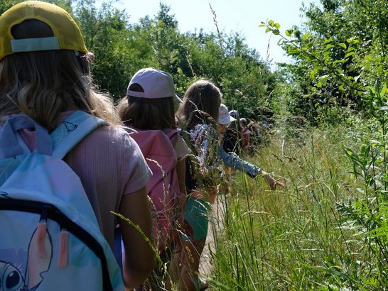 Kinder gehen neben hohen Büschen und Gräsern 