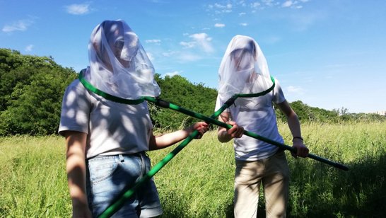 Schüler spielen mit Fischernetz