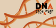 DNAustria Banner