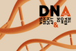 DNAustria Banner