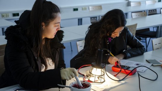 zwei junge Frauen sitzen an einem Experiment