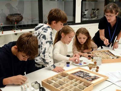 Schulklasse in der Geologischen Sammlung des NHM