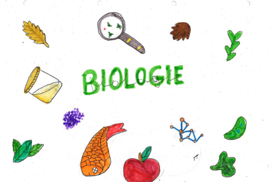 Gemaltes Bild einer Schülerin/eines Schülers: Schriftzug Biologie und Icons