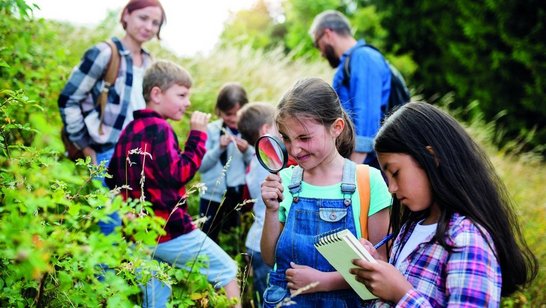 eine Gruppe von Schülerinnen und Schüler erforscht die Natur