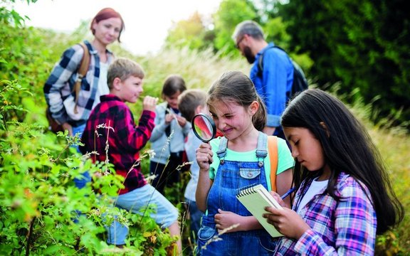 eine Gruppe von Schülerinnen und Schüler erforscht die Natur