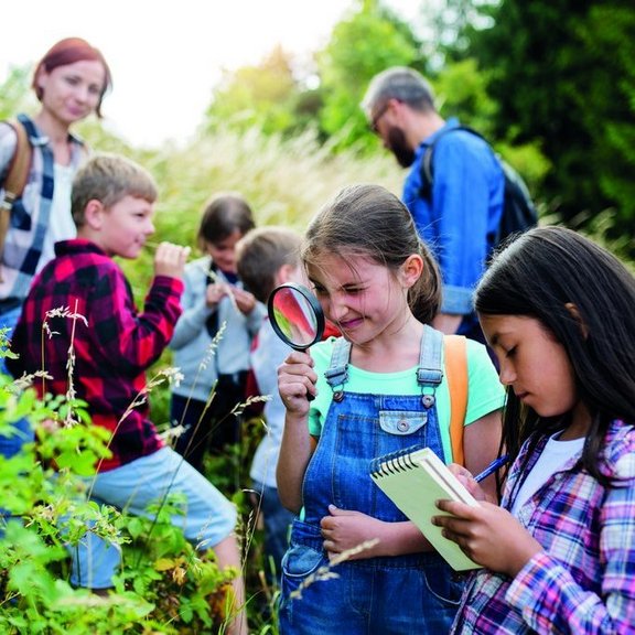 eine Gruppe von Schülerinnen und Schüler erforscht die Natur