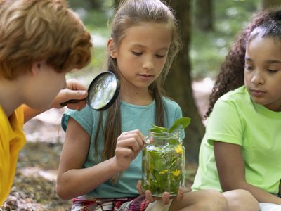 Drei Kinder in der Natur erforschen mit einer Lupe Pflanzen in einem Glas