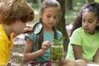 Drei Kinder in der Natur erforschen mit einer Lupe Pflanzen in einem Glas