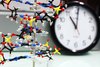 Genmodelle und Uhr im Hintergrund